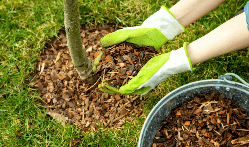 MULCHING